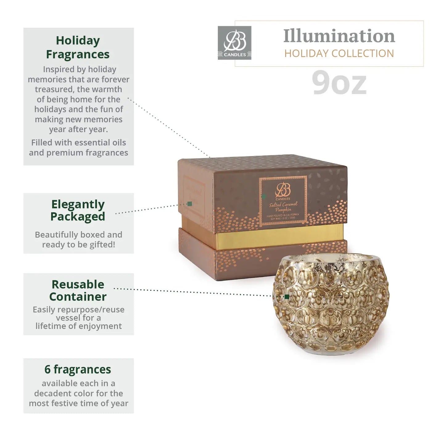 Bb Illumination Holiday Collection-9oz-Salted Caramel Pumpkin Candle