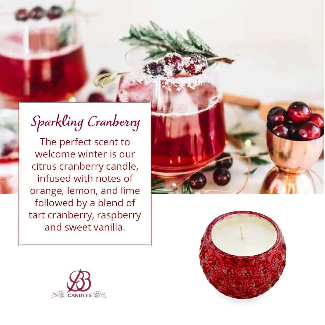 Bb Illumination Holiday Collection-9oz-Sparkling Cranberry