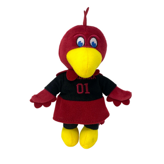 University Of South Carolina Cocky Mascot Pacifier